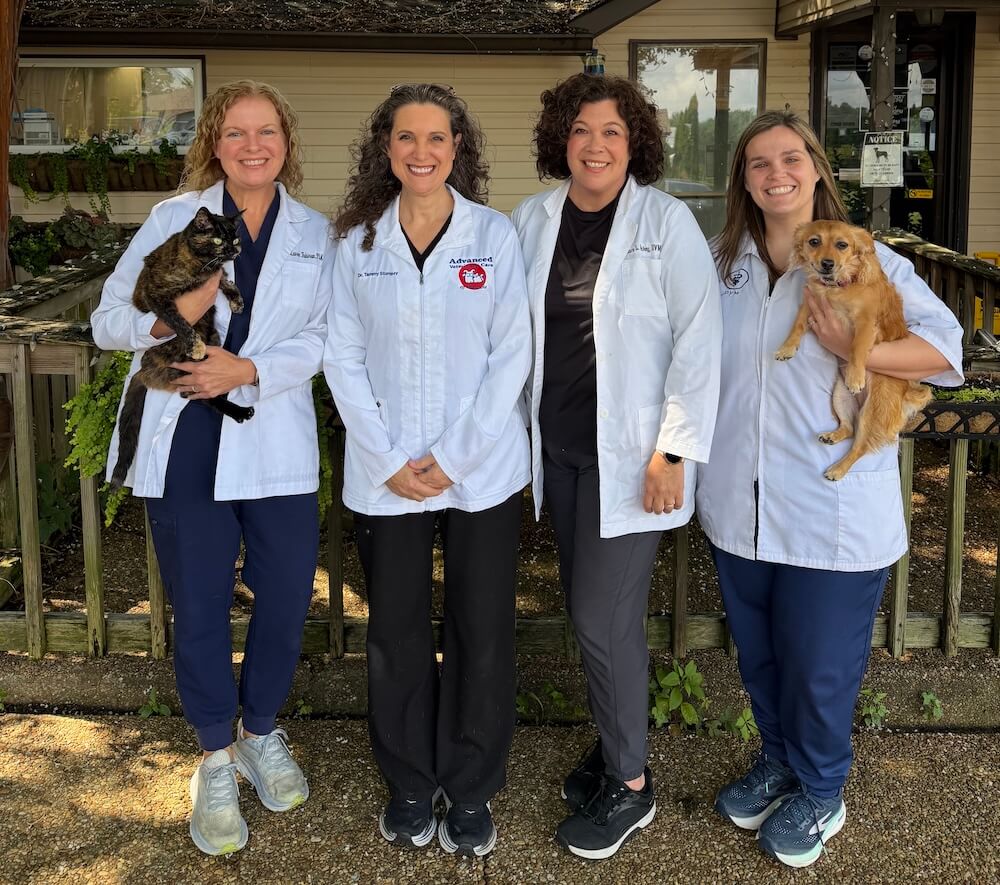 All the doctors from the practice in Alabama