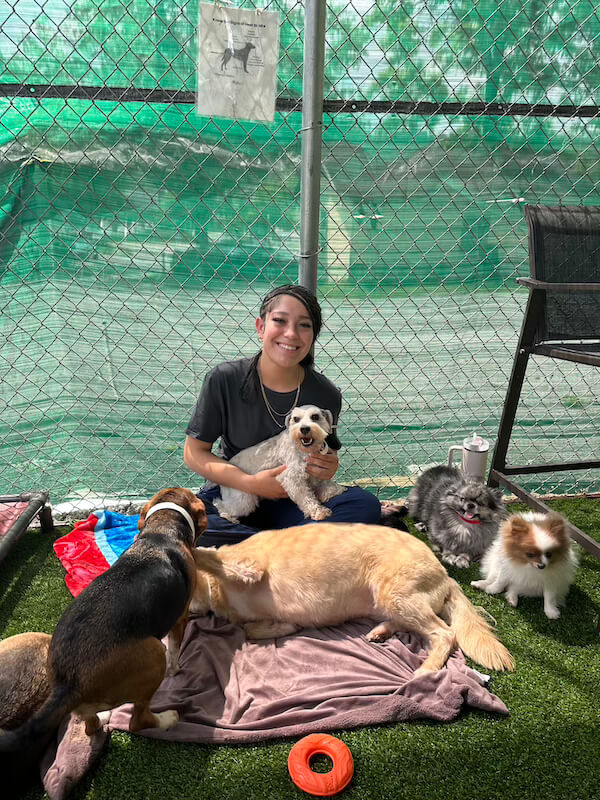 Staff member cuddling the boarding pets