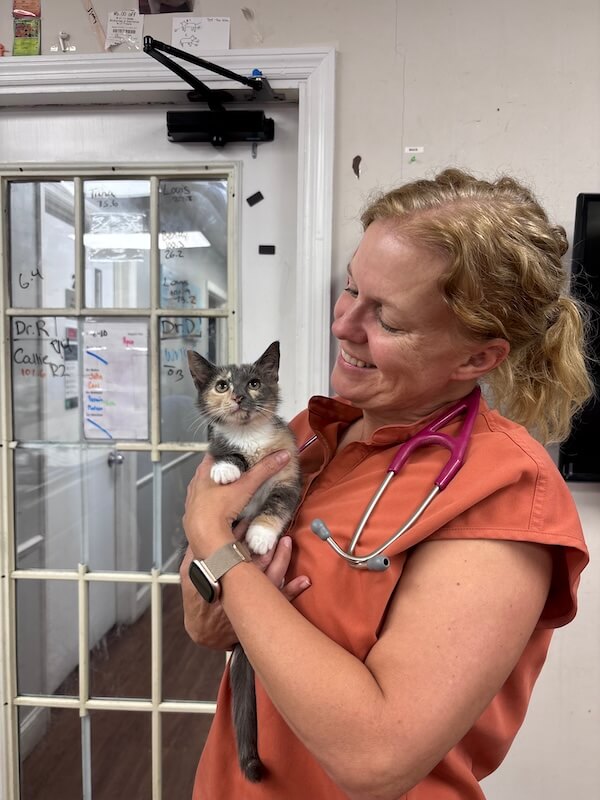 Vet with cute kitten